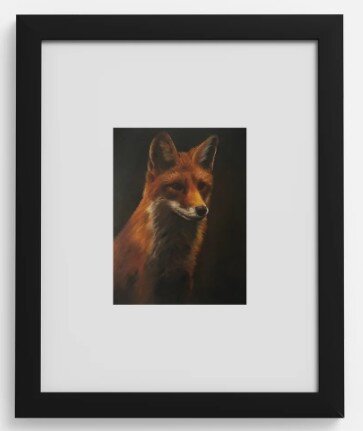 "Study of a Red Fox" Framed Print