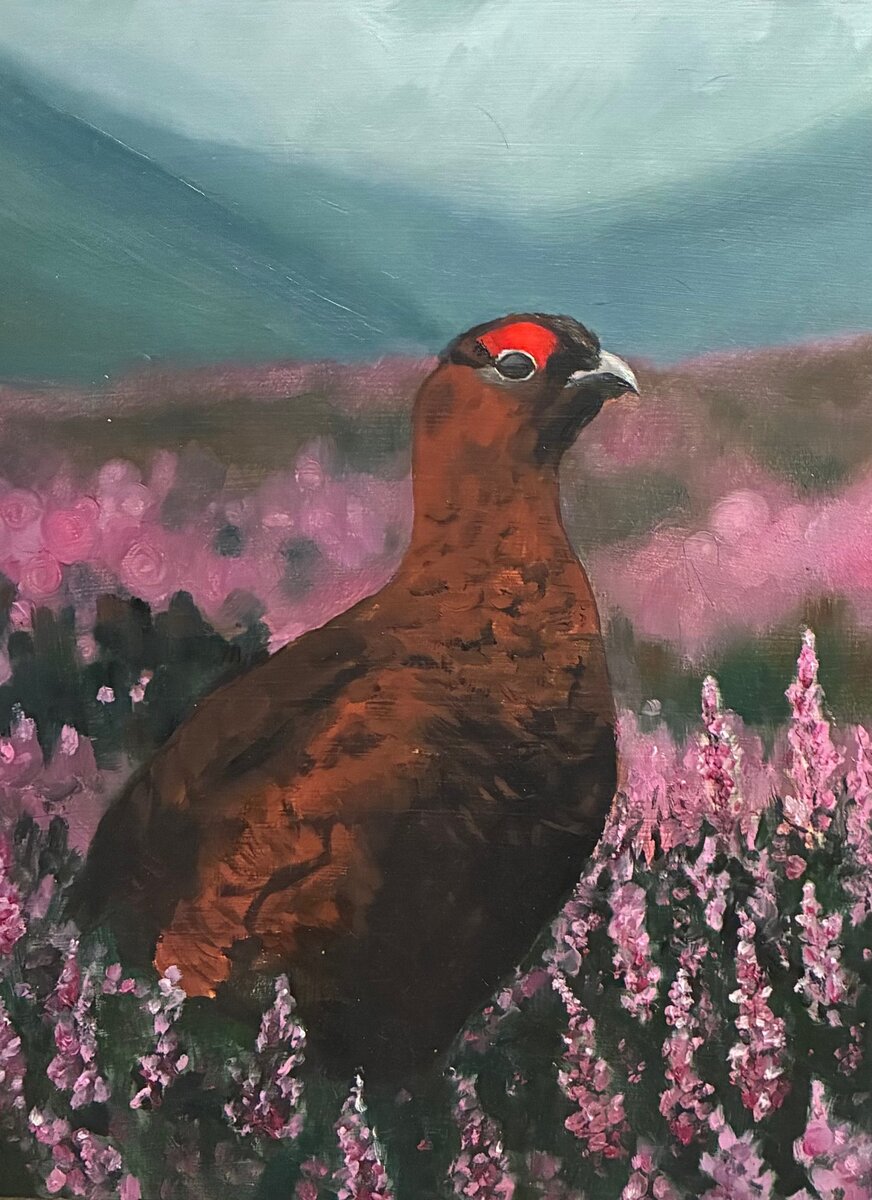 "Red Grouse" Original