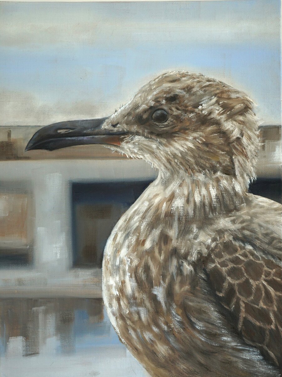 "Seagull" Original