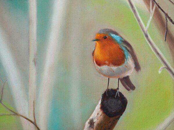 "European Robin" Original